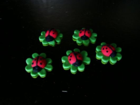 Biedronka 1 op (5 szt) Biedronka 1 op (5 szt)