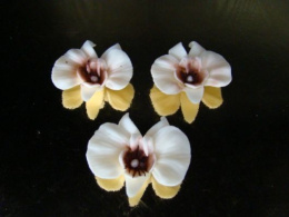 Cymbidium - biały 1 op (3 szt.)