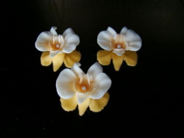 Cymbidium - ecru 1 op ( 3 szt.)