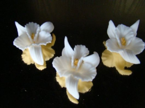 Orchidea - biała 1 op ( 3 szt.) Orchidea - biała 1 op ( 3 szt.)