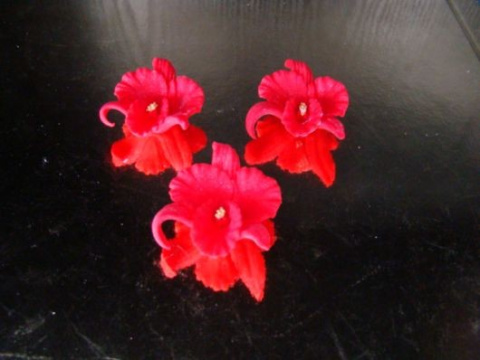 Orchidea -czerwona 1 op ( 3 szt.) Orchidea -czerwona 1 op ( 3 szt.)