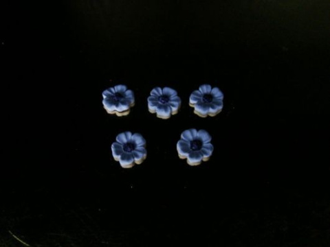 Primulka mini - fioletowa 1 op ( 5 szt) Primulka mini - fioletowa 1 op ( 5 szt)