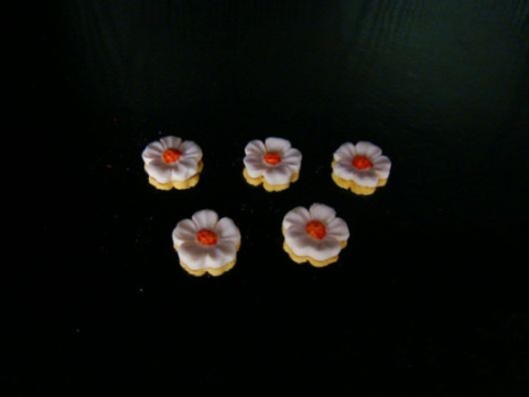 Primulka mini - pomarańczowa 1 op ( 5 szt) Primulka mini - pomarańczowa 1 op ( 5 szt)