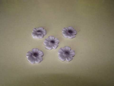 Primulka mini - fiolet 1 op ( 5 szt)