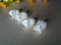 Tulipan krótki -biały - 1 szt.