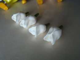 Tulipan krótki -biały - 1 szt.