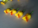 Tulipan krótki - herbaciany - 1 szt.