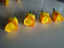 Tulipan krótki - herbaciany - 1 szt.