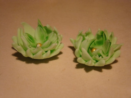 Astry - pistacja 4,5 cm - ( 2 szt.)