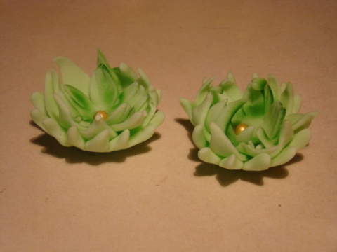 Astry - pistacja 4,5 cm - ( 2 szt.) Astry - pistacja 4,5 cm - ( 2 szt.)