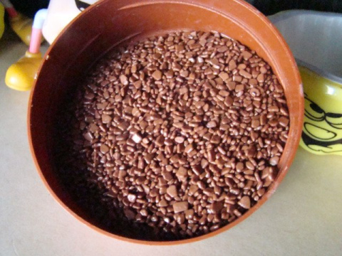 Posypka płatki czekoladowe mleczne1 op ( 100 g) Posypka płatki czekoladowe mleczne1 op ( 100 g)
