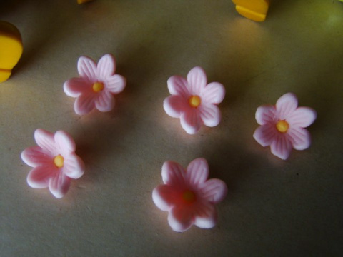 Prymulka - różowe - 2,5cm 1 op (5szt) Prymulka - różowe - 2,5cm 1 op (5szt)